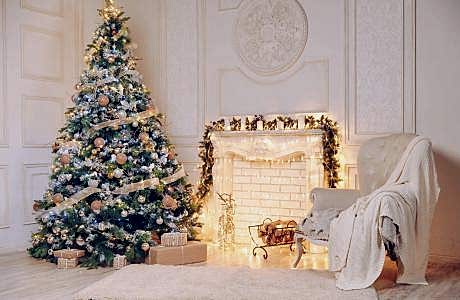 Фотостудия для каталожной съемки