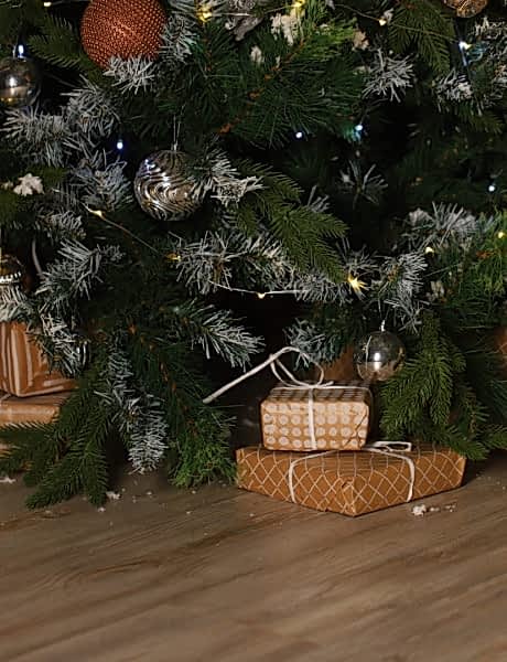 Елка в фотостудии