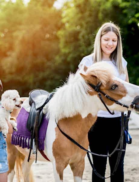 Семейная фотография с пони