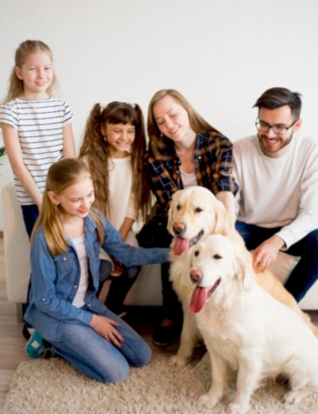 Семейное фото дома с собаками