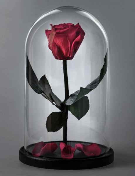 Предметная фотосъемка