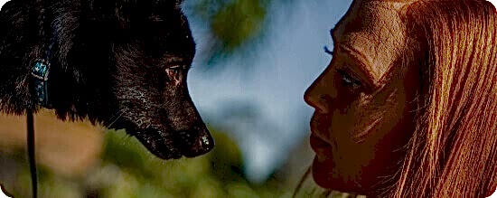 Живые эмоциональные фотографии